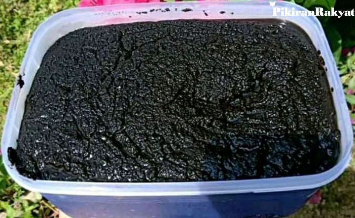 mengenal Sejarah Bedak Lotong (Bedda Lotong) bugis